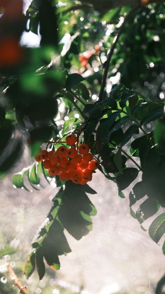 Photograph by Яна Истоцкая