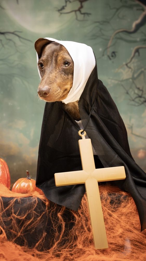 Фотография автора Almasconpelo