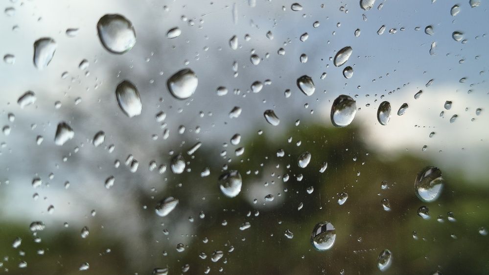 Фотография автора Vishal Kochrekar