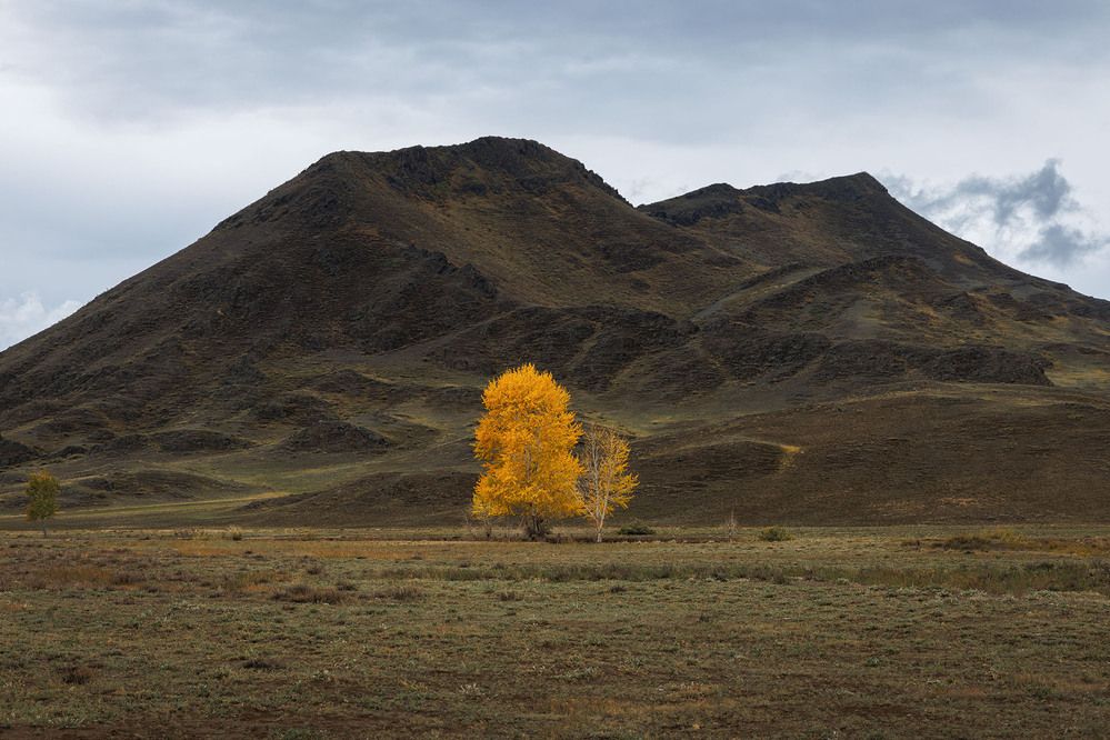 Photograph by Альберт Куулар