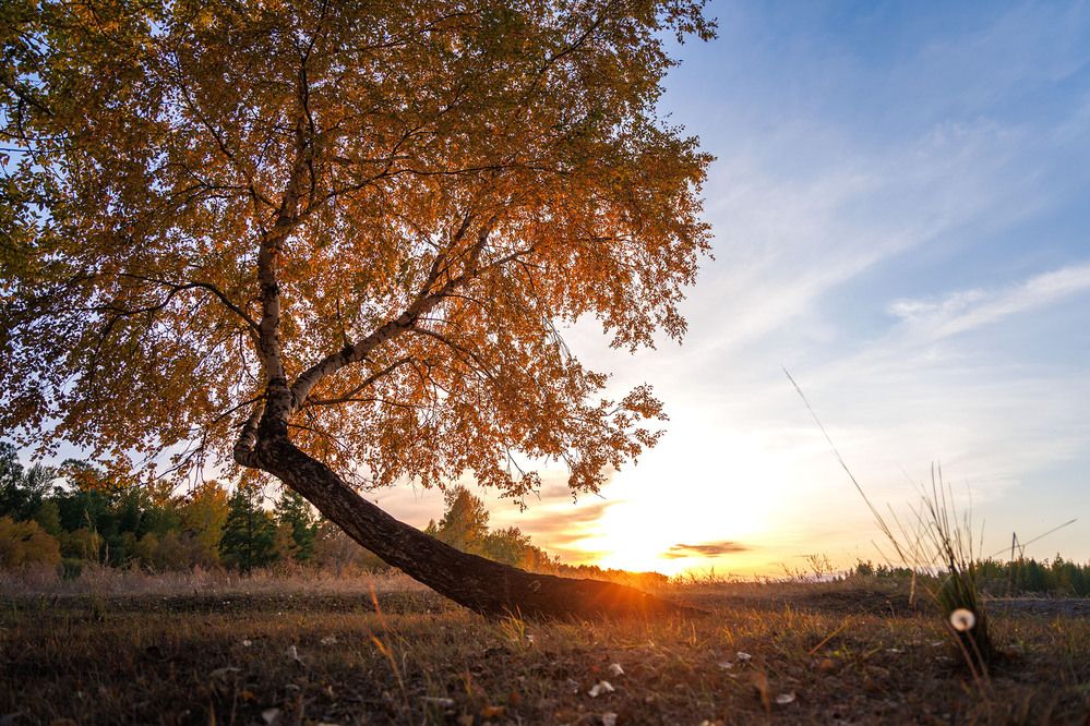 Photograph by Альберт Куулар