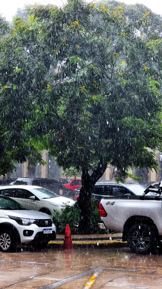 Photograph by Gr Marie