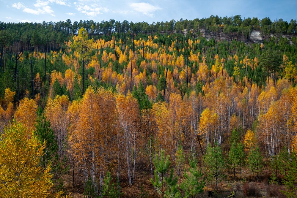 Photograph by Evgeniy