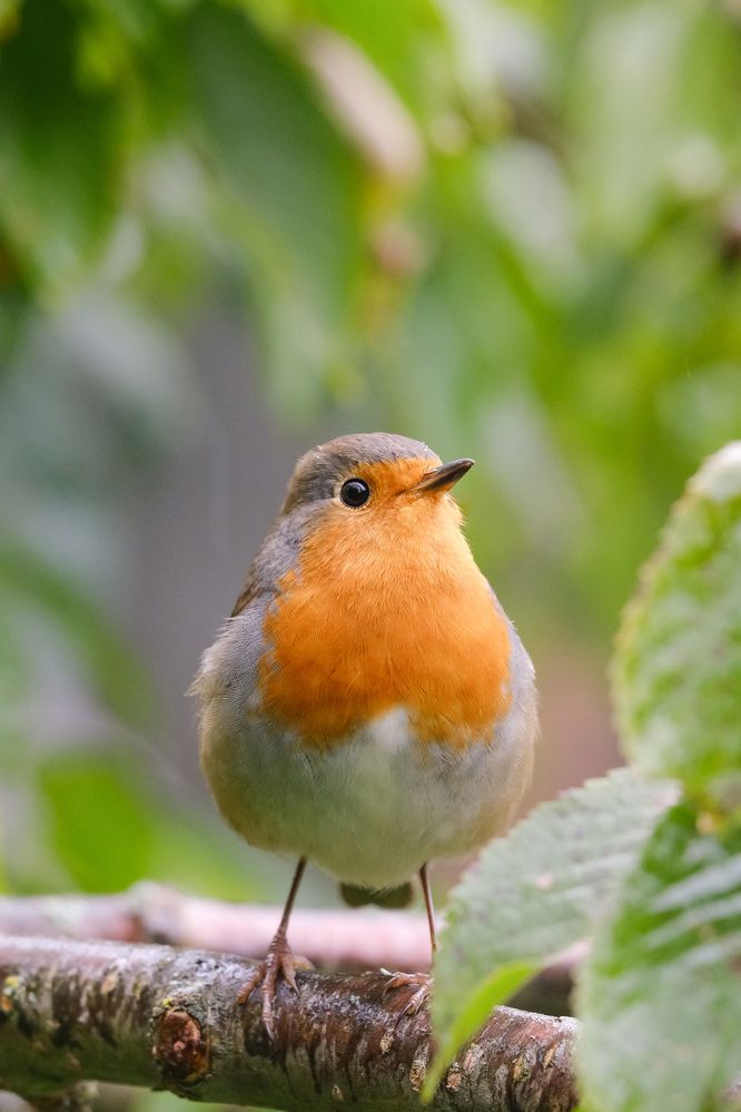 Photograph by Александр Высоцкий