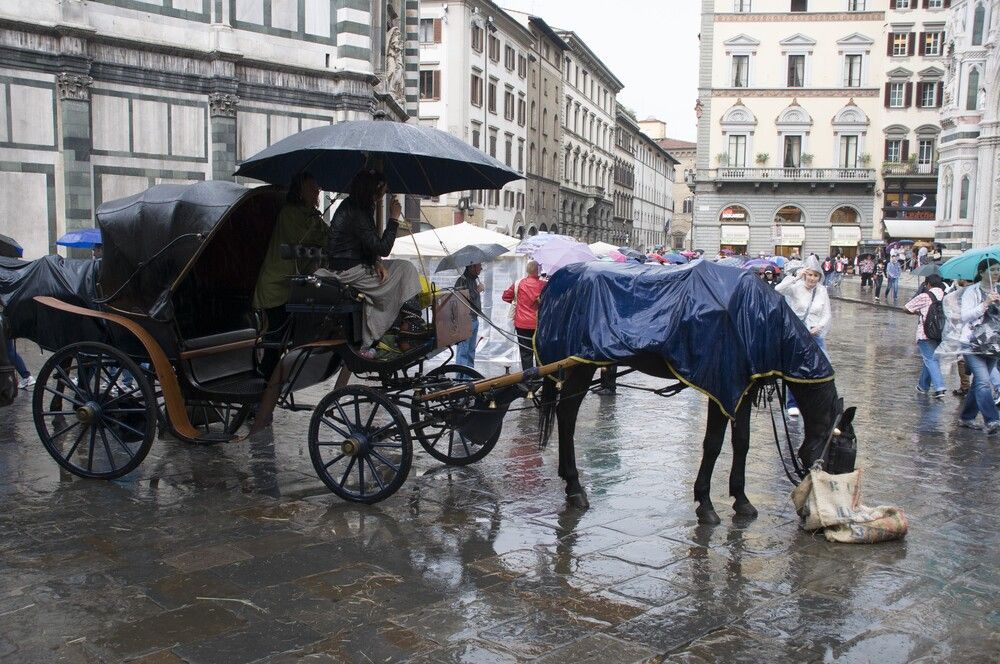 Дождь во Флоренции