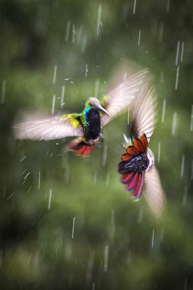 Photograph by Jorge Ivan Vasquez