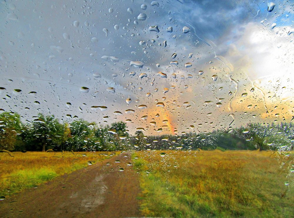 Photograph by Виталий Симоненков