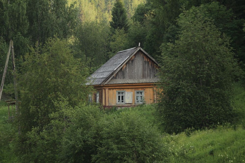 Photograph by Полина Ишкина