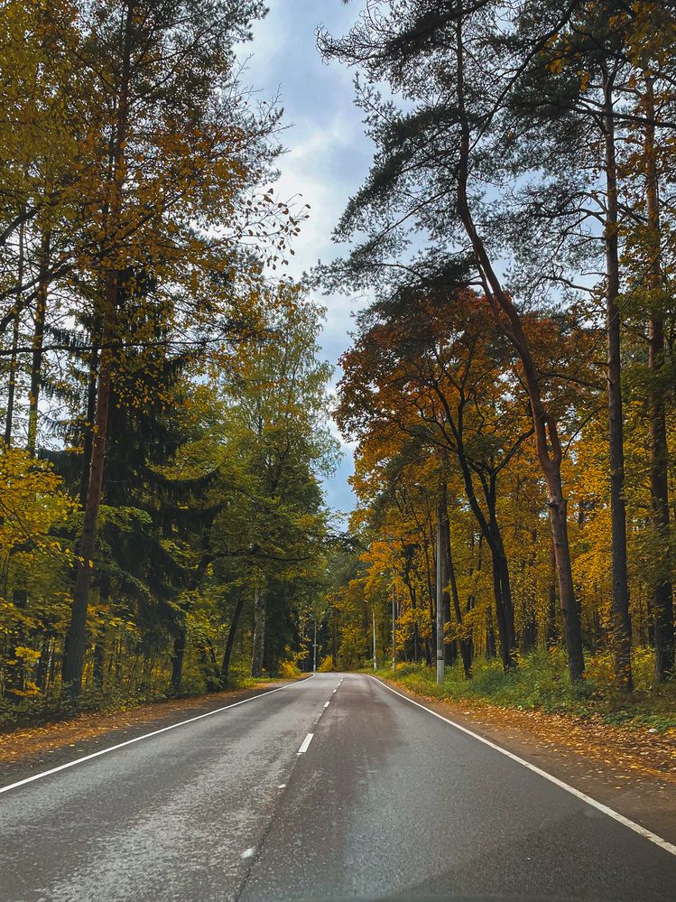 Photograph by Julia Smilovitsky