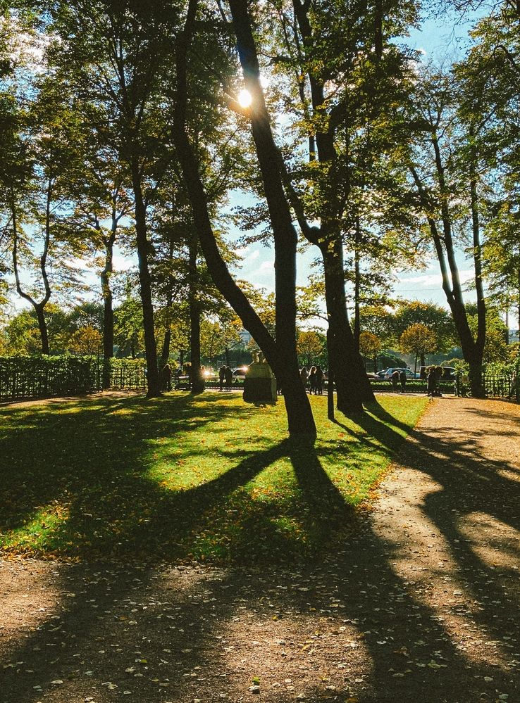 Photograph by Julia Smilovitsky