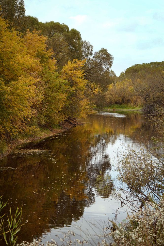 Photograph by Любовь Лунина