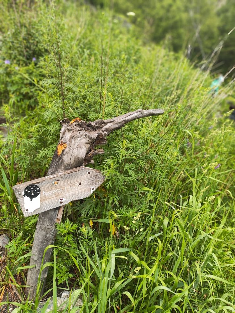 Photograph by Татьяна Пьянзина