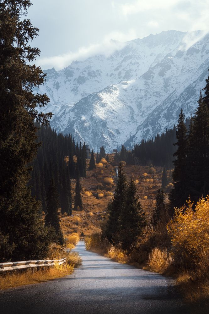 Фотография автора Ilia