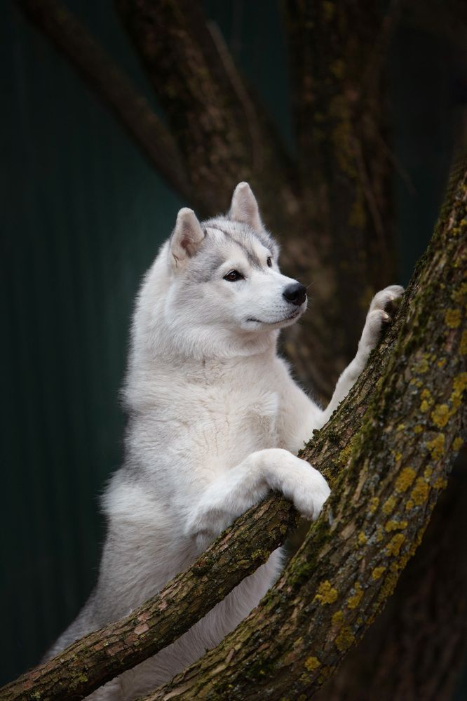 Photograph by Анжелика