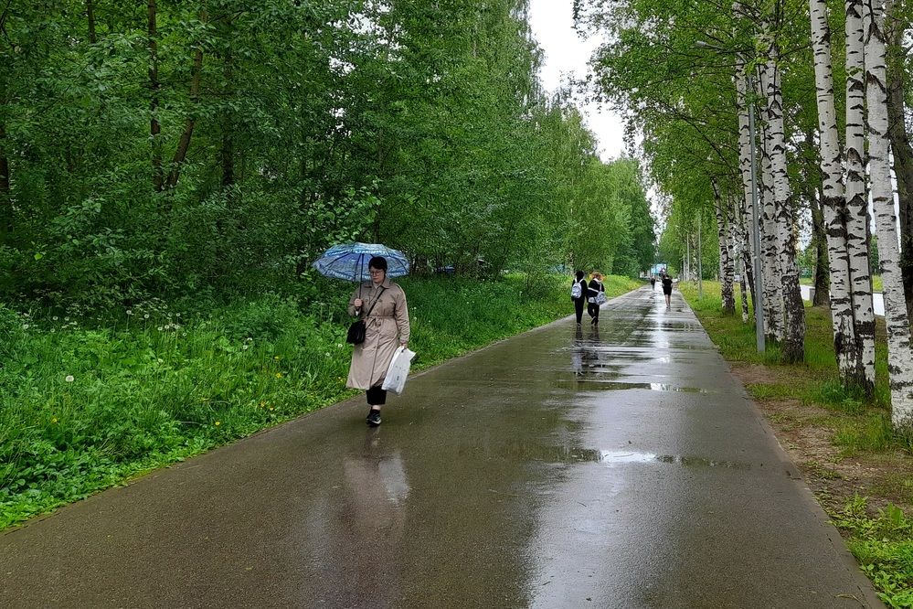 Photograph by Ольга Березовская