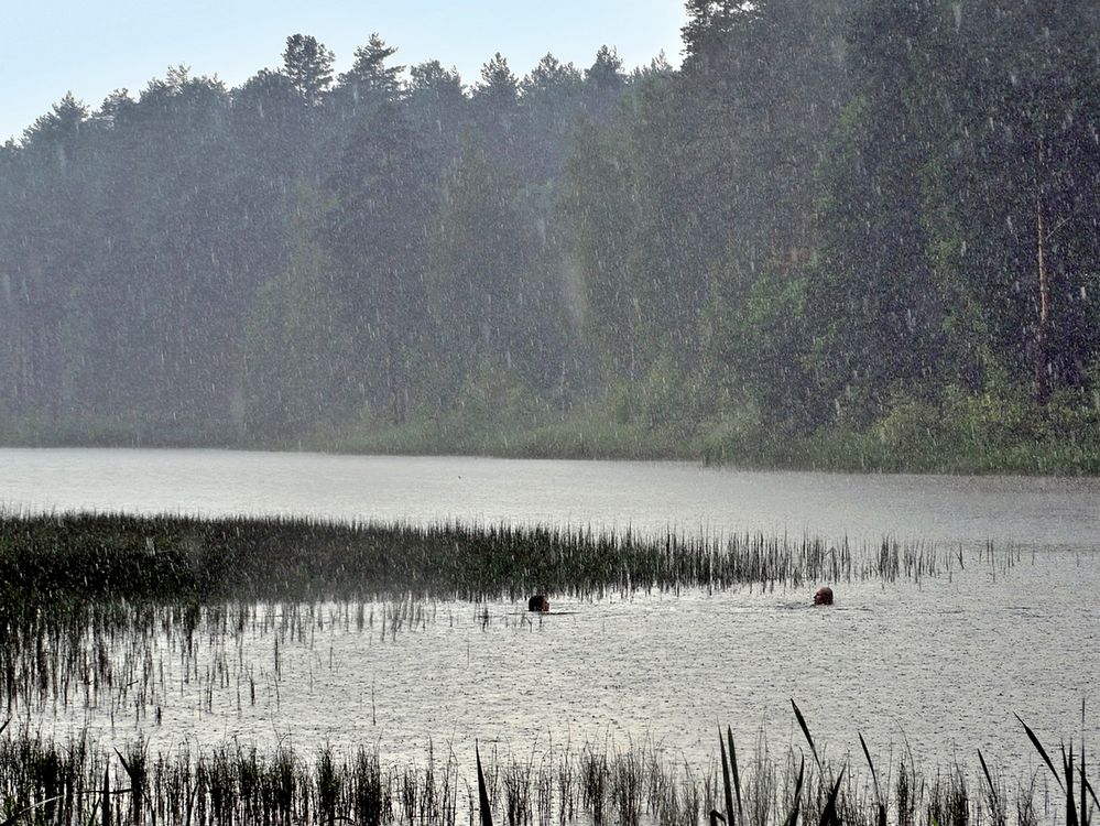 Купание в дождь