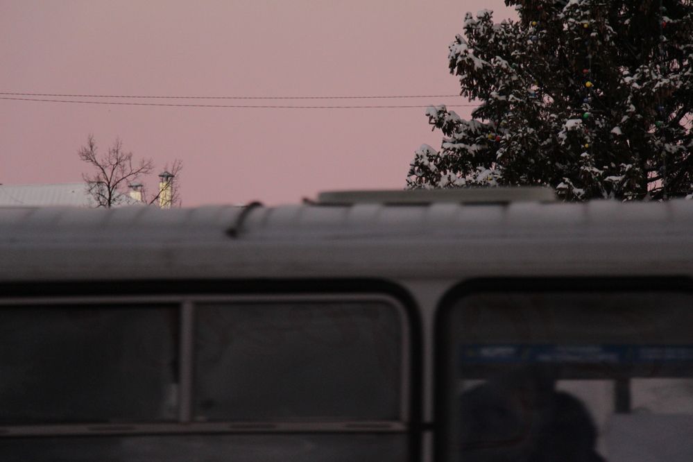 Фотография автора Полина Ишкина