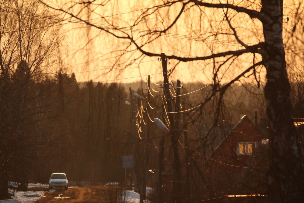 Фотография автора Полина Ишкина