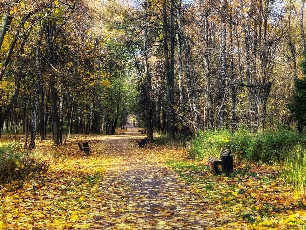 Photograph by Светлана Парамонова