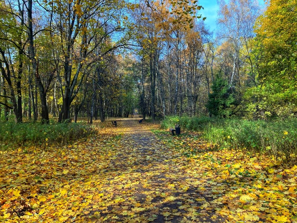 Photograph by Светлана Парамонова