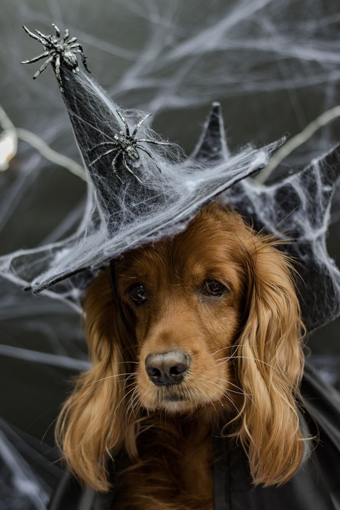 Photograph by Victoria Mogulyan