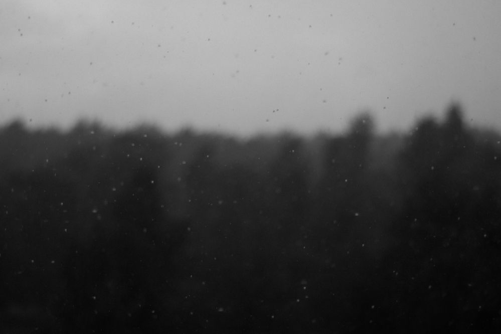 Photograph by Ivangelion [JS]
