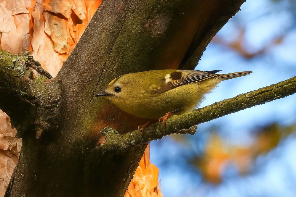 Photograph by Владимир Джерихов