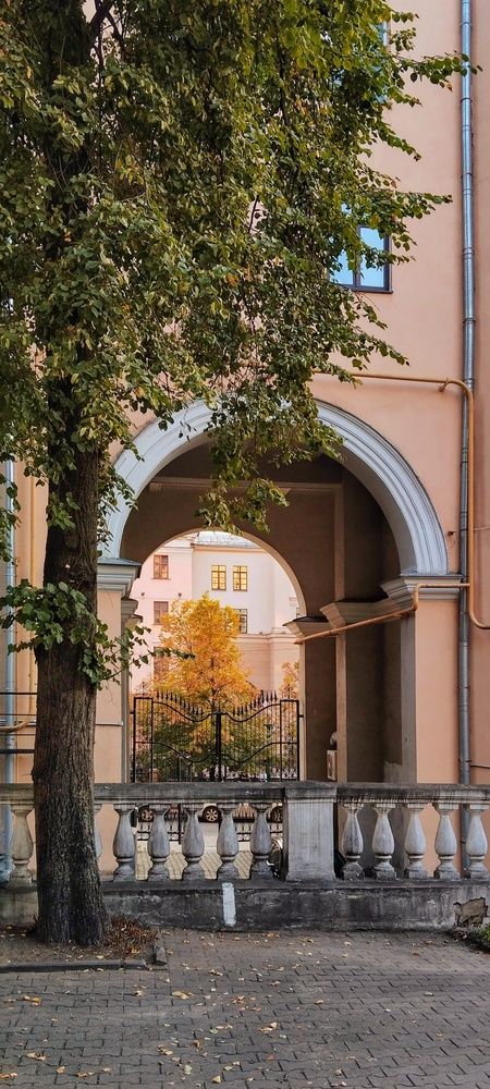 Окно в осень