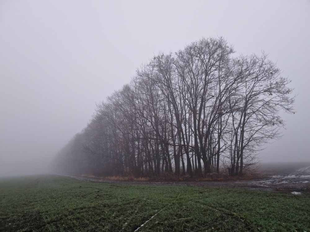 Photograph by Андрей Шайкин