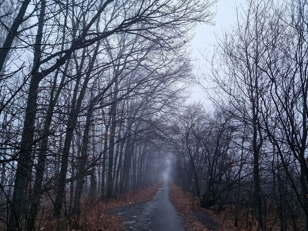 Photograph by Андрей Шайкин