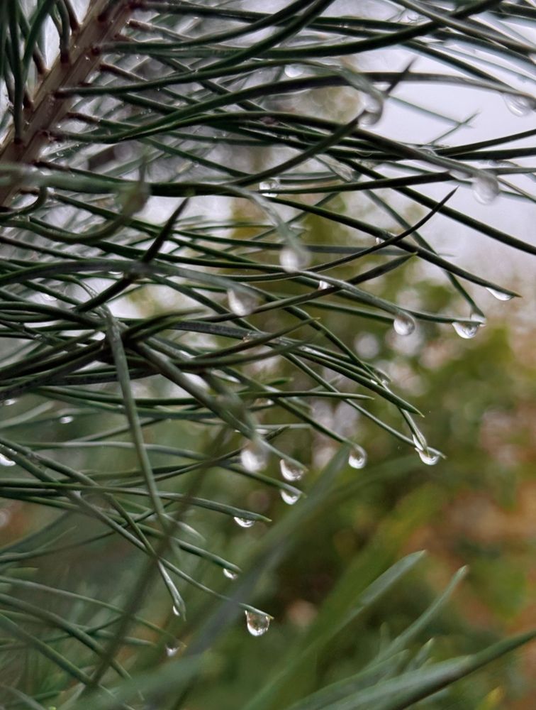 Photograph by Наталия Любчикова