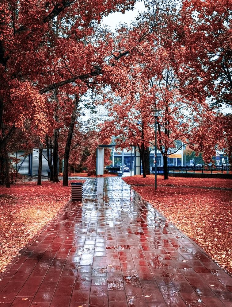 Photograph by Наталия Любчикова