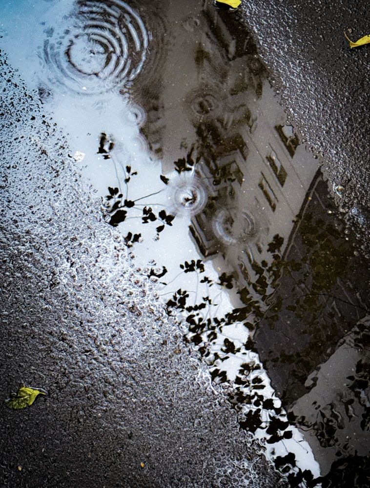 Photograph by Наталия Любчикова