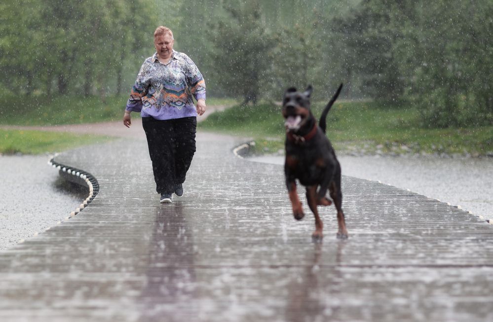 Photograph by Юлия Болдинова