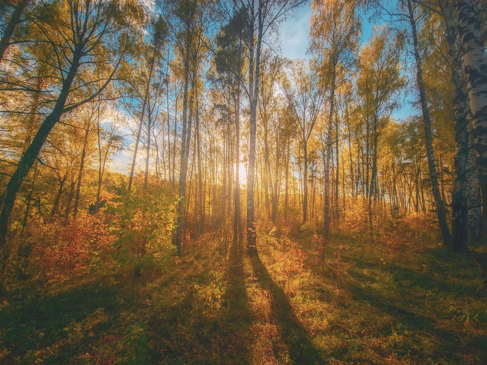 Photograph by Кирилл Сидоров