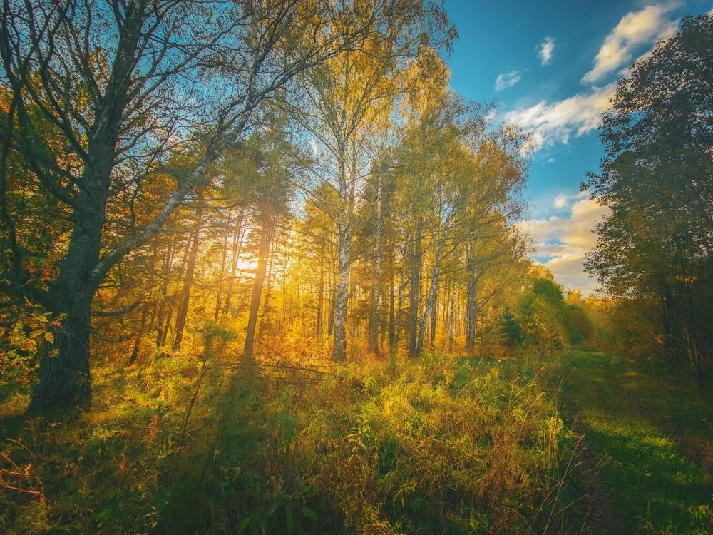 Photograph by Кирилл Сидоров