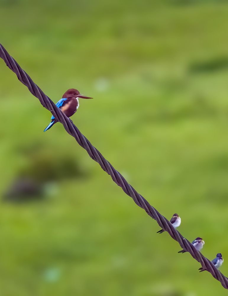 Photograph by WONG ADVENTURE