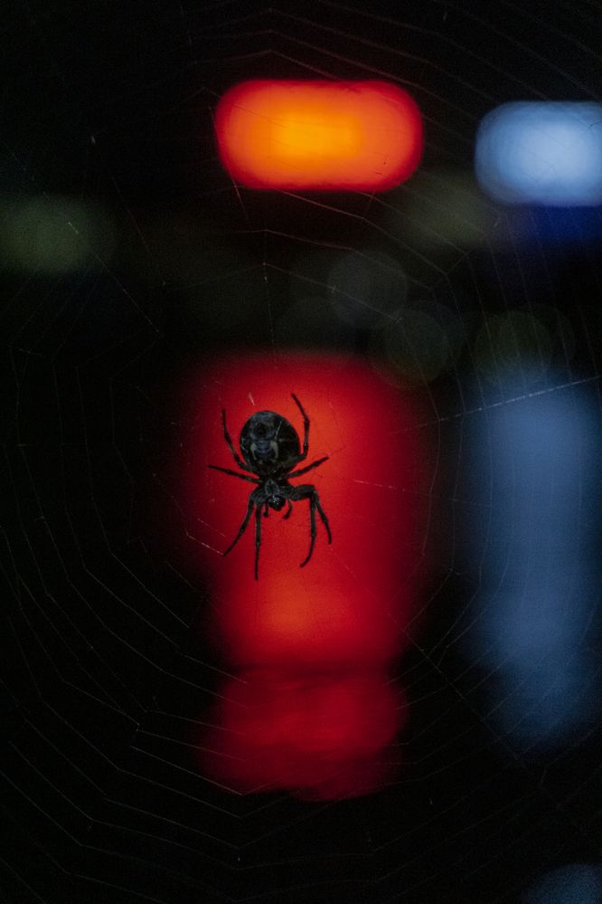 Photograph by Арсений Крят