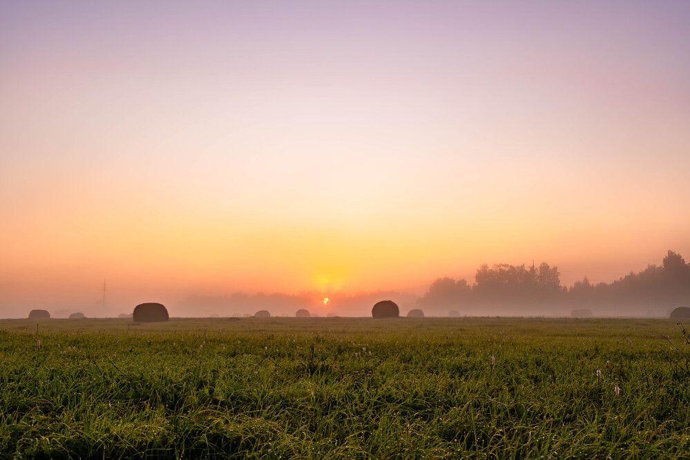 Photograph by Алиса