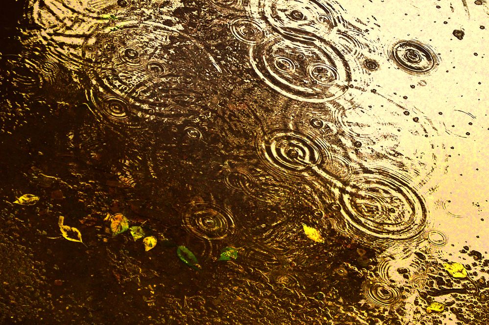 Photograph by Галина Фрейман