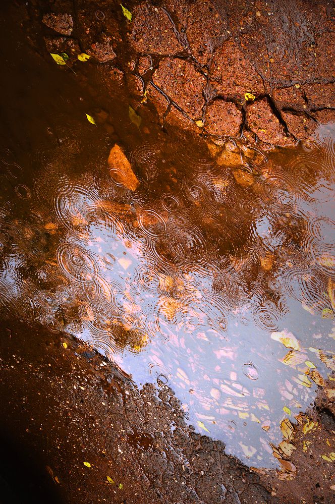 Photograph by Галина Фрейман