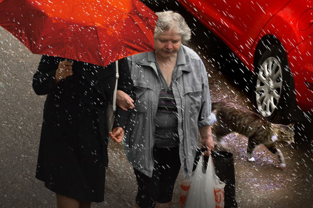 Photograph by Галина Фрейман