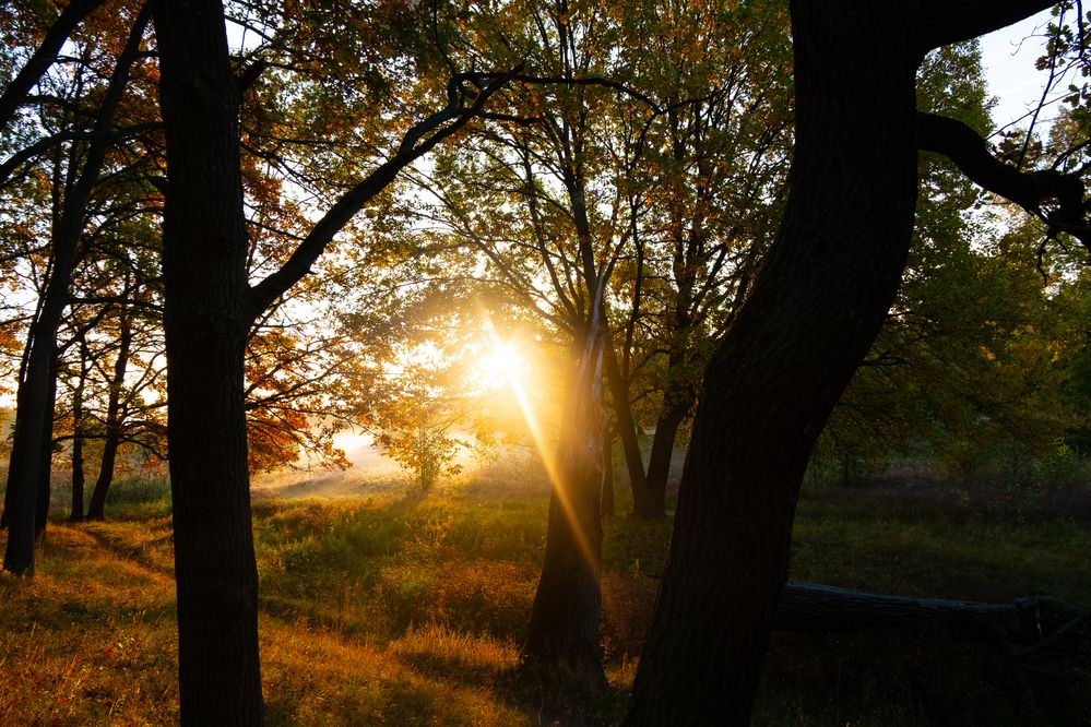 Photograph by Алиса