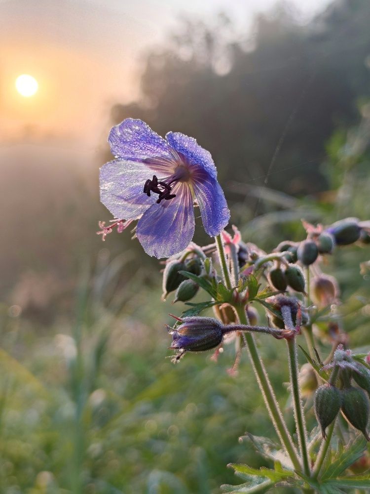 Photograph by Кондрашова Светлана