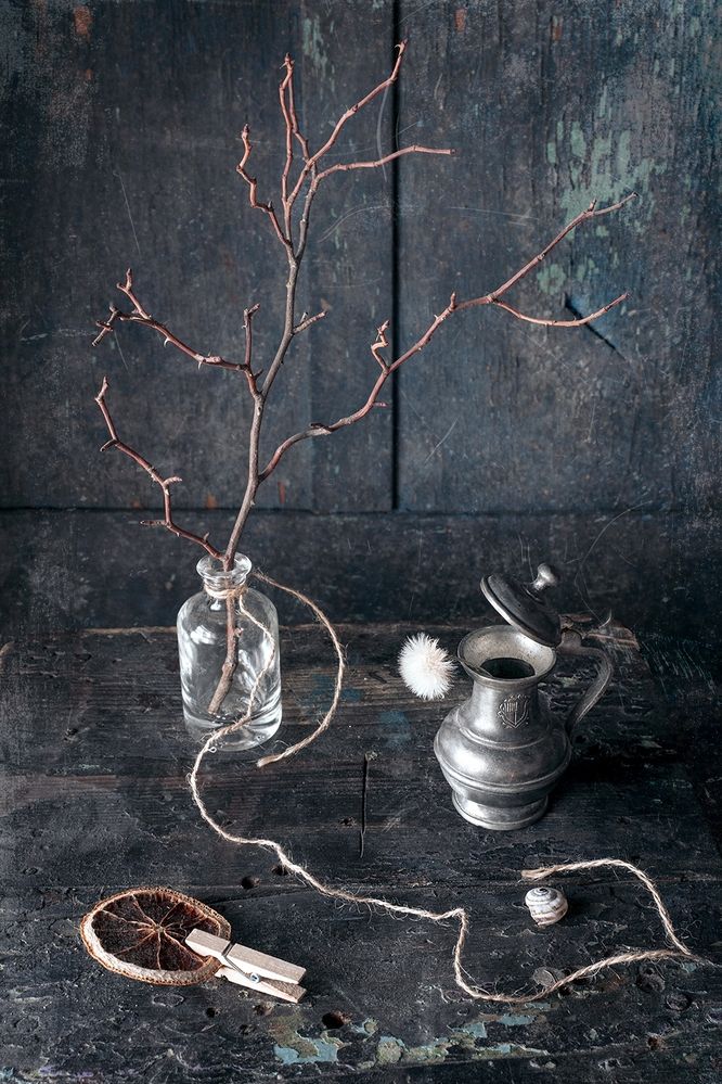 Ветка и кувшин