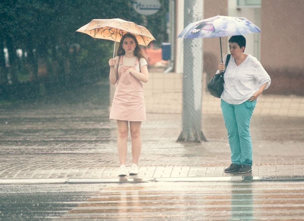 Photograph by Алексей Горохов