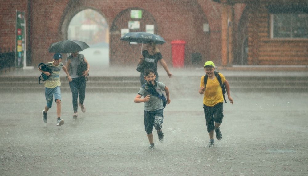 Photograph by Алексей Горохов