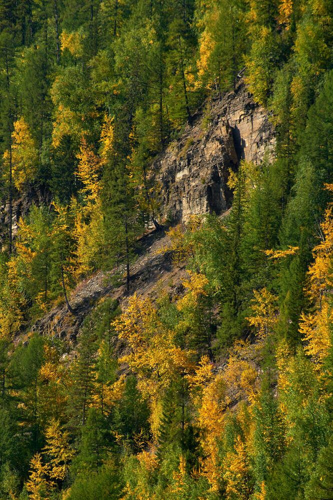 Photograph by Максим Карпович