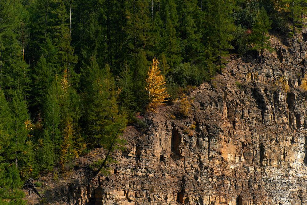 Photograph by Максим Карпович