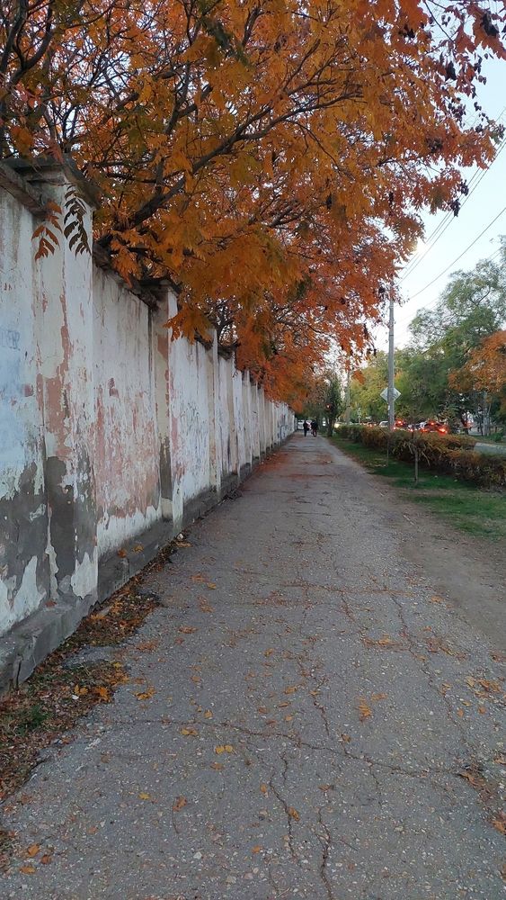 Фотография автора Анатолий Дячина